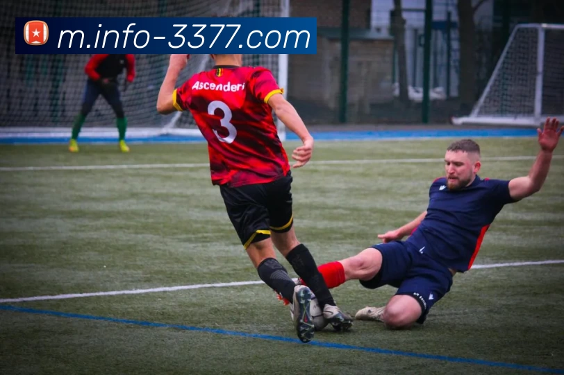 3377体育平台生态图